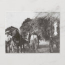 Recherche de homme blanc cartes postales Vintage