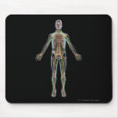 Recherche de avant tapis souris Illustration