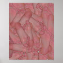 Recherche de pieds posters Orteils