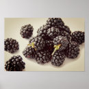 Recherche de mûre blackberry posters Fraise