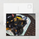 Recherche de moule cartes postales Nourriture