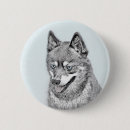 Recherche de alaskan badges Chiot