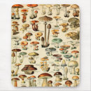 Recherche de champignons tapis souris Magie
