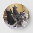 Recherche de chatons mignons horloges Chats