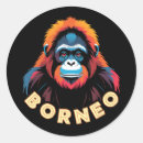 Recherche de le bornéo autocollants Faune