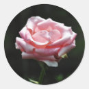 Recherche de belles couleurs autocollants Nature