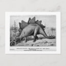 Recherche de jurassique cartes postales Stégosaurus