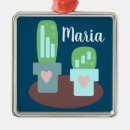 Recherche de cactus ornements Plante