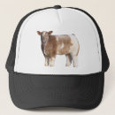 Recherche de pelucheux casquettes Mignon