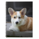Recherche de corgi carnets Animal de compagnie