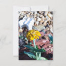Recherche de zinnia Floral