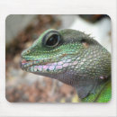 Recherche de chinois tapis souris Animaux