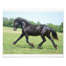 Recherche de frison posters Noir