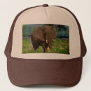 Recherche de éléphant casquettes Animal
