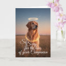 Recherche de animaux condoléances cartes Perte d'un chien