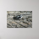 Recherche de pic impressions sur toile Image