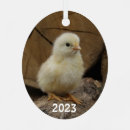 Recherche de poussette ornements Poulet
