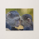 Recherche de tanzanie puzzles Faune