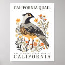 Recherche de cailles posters Illustration