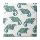 Recherche de caméléon carreaux Faune