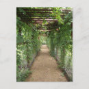 Recherche de lierre cartes postales Jardins