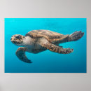 Recherche de natation art Océan