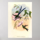 Recherche de oiseaux vintages posters Pour lui