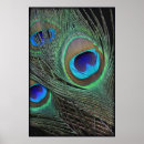 Recherche de art deco peacock posters Plumes paon
