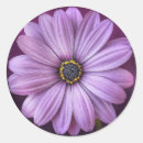 Recherche de marais autocollants Fleur