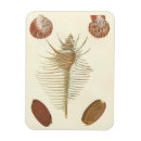 Recherche de coquillage magnets Nautique