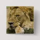 Recherche de afrique badges Nature