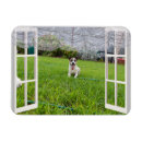 Recherche de jack russel magnets Russell