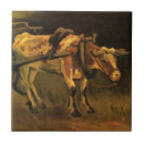 Recherche de boeuf carreaux Bétail