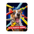Recherche de chien magnets Anniversaire