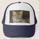 Recherche de chat sauvage casquettes Félin