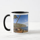 Recherche de arbres nature tasses Tropical