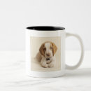 Recherche de premier plan tasses Chiot