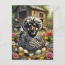 Recherche de poulailler cartes postales Ferme
