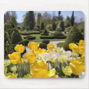 Recherche de pottok Jardin français