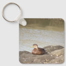 Recherche de colvert porteclés Animaux