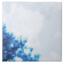 Recherche de delft carreaux La hollande