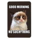 Recherche de grincheux magnets Chat