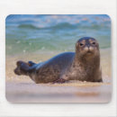 Recherche de phoque tapis souris Faune