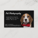 Recherche de animal familier photographie Pour tous