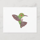 Recherche de colibris mignons cartes postales Aquarelle