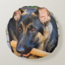 Recherche de bergers allemands coussins Animaux domestiques