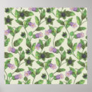 Recherche de belladonna posters Illustration