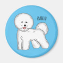 Recherche de bichon frise magnete Dog