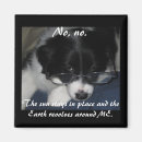 Recherche de dog magnets Lunettes
