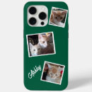 Recherche de chat de gingembre électronique Animaux domestiques